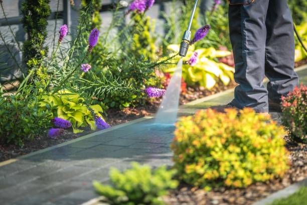Best Animal Enclosure Cleaning  in Gambier, OH