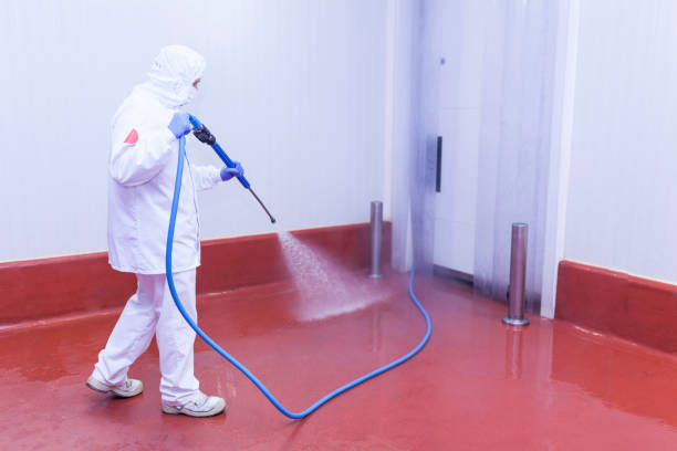 Best Pre-Holiday Cleaning  in Gambier, OH